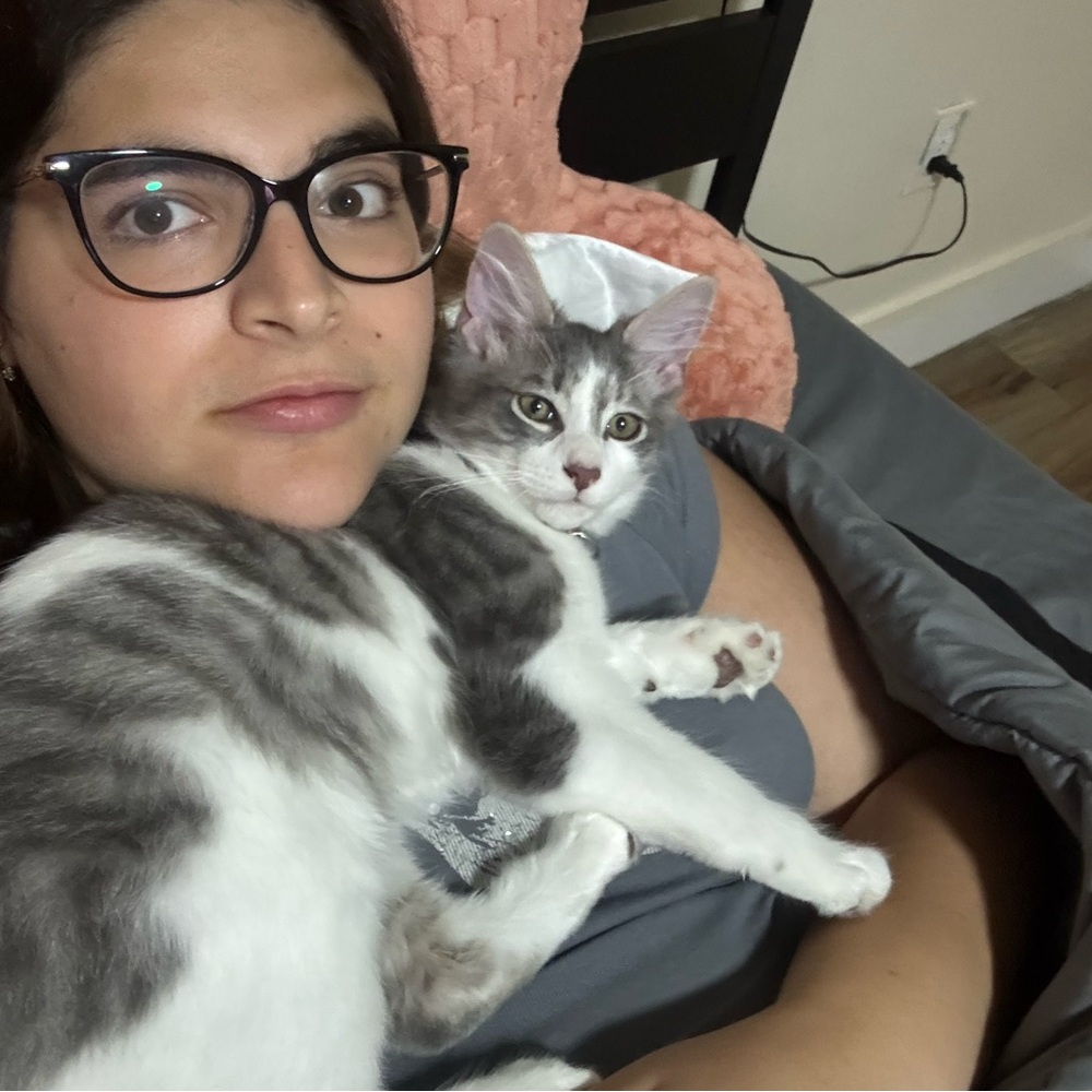 Meet your Posher, Elettra